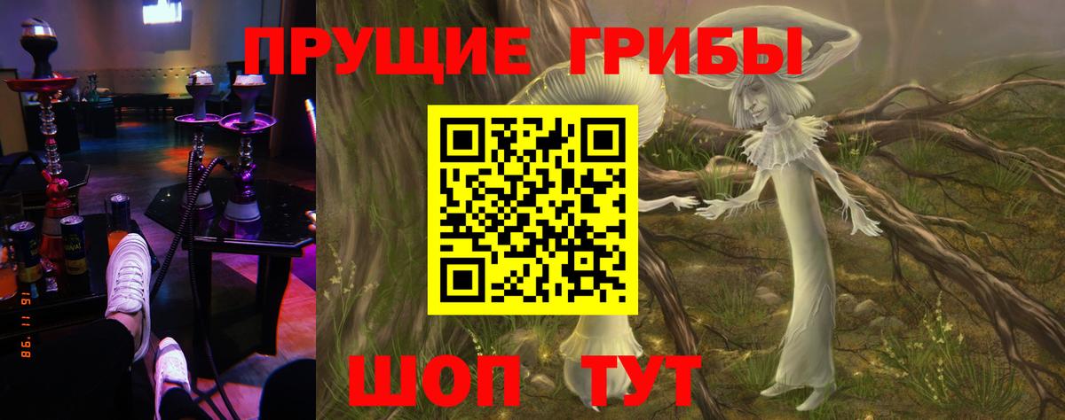 Мичуринск  Галлюциногенные грибы Cubensis  цена наркотик  Вход с VPN 